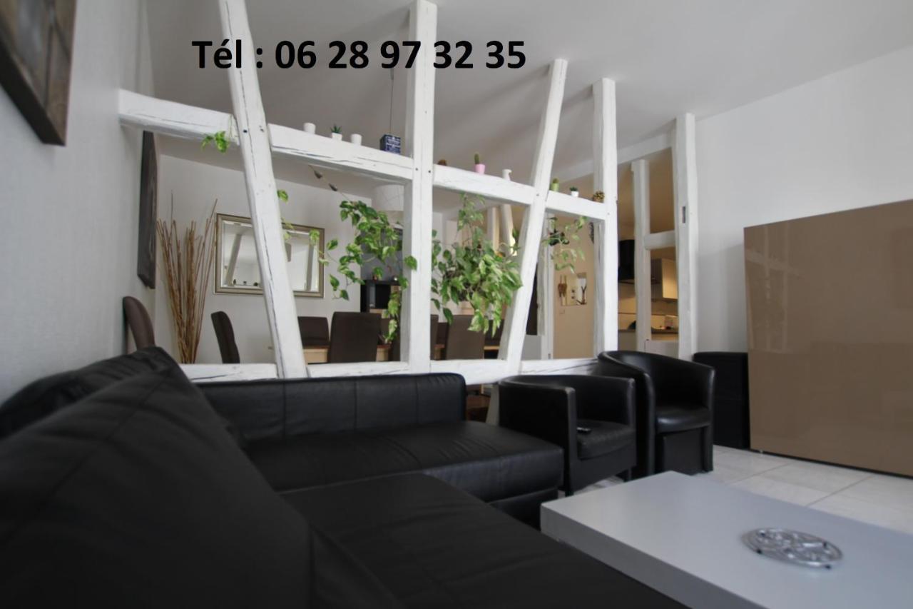 Gite Hyper Centre 10 Pers 科尔马 外观 照片