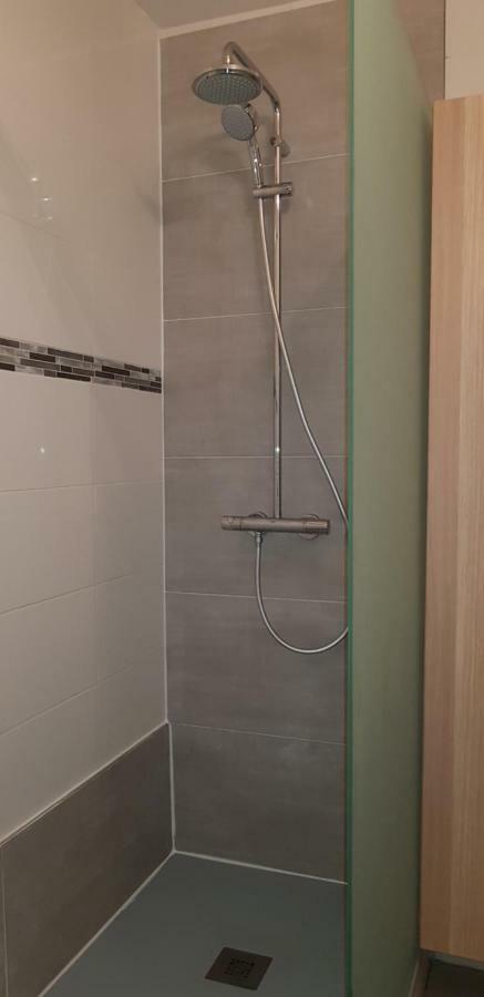 Gite Hyper Centre 10 Pers 科尔马 外观 照片